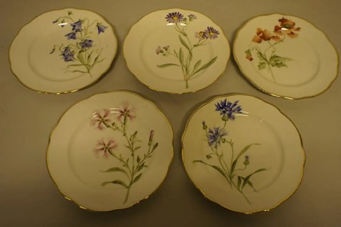 11 handbemalte Jugendstilteller von Rörstrand mit verschiedenen Blumenmotiven