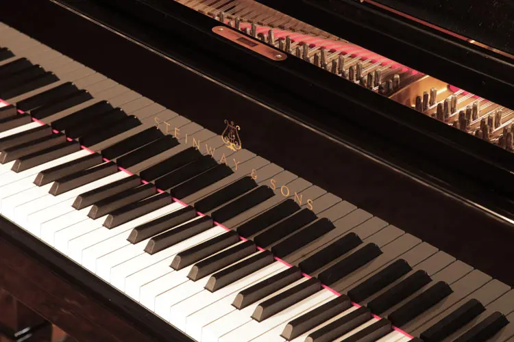 Großes Klavier Modell B von Steinway